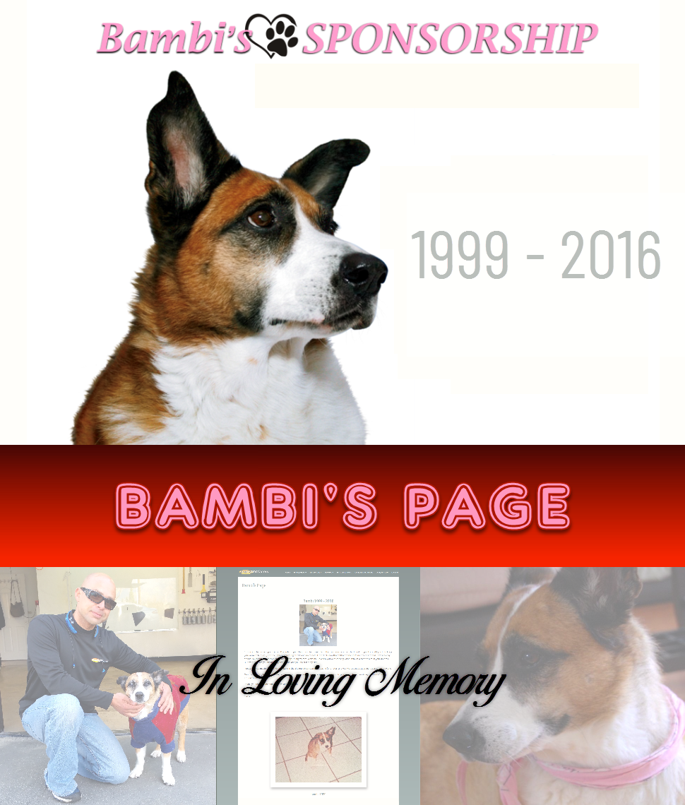 Bambi's Page