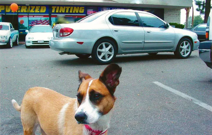 Bambi standing in front of a silver sedan outside the window tinting shop.