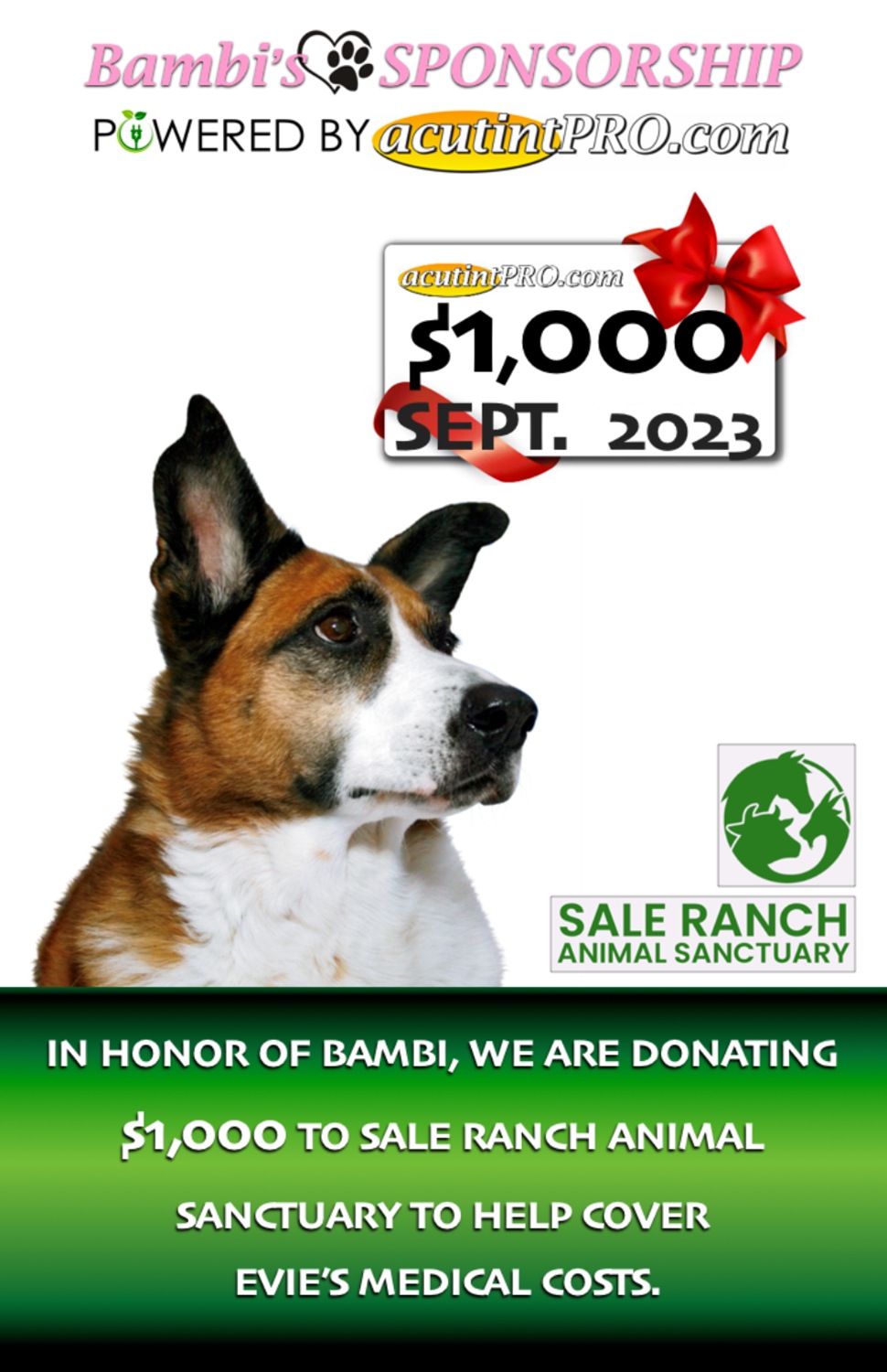 Bambi Sponsrship SEP 2023