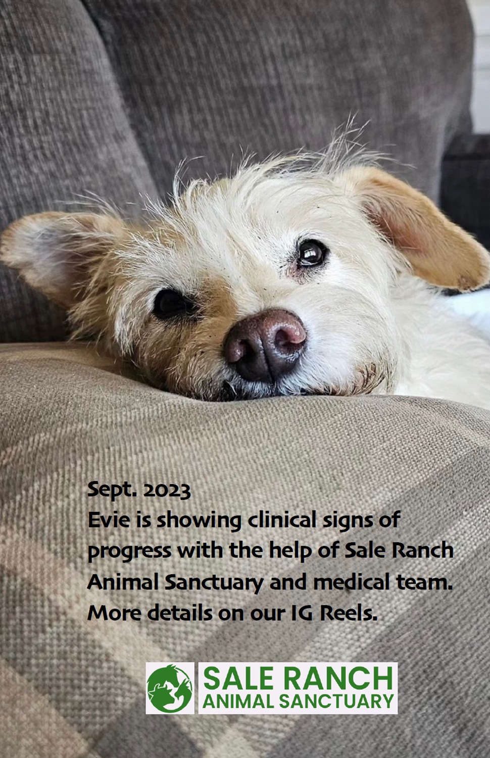 Evie SEP '23