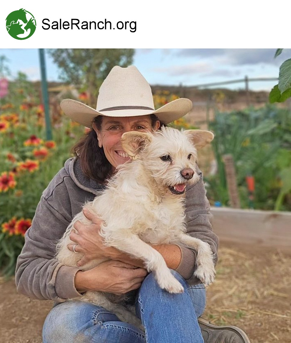 SALE RANCH SANCTUARY Sponsor JAN 2024