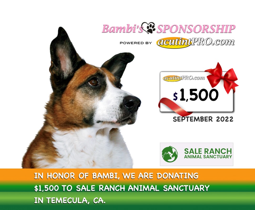 SALE RANCH SANCTUARY Sponsor SEP 2022