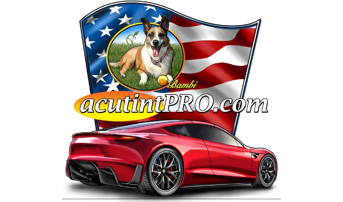 AcutintPRO Copyright